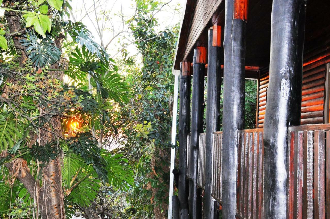 Viewpoint Lodge & Safari Tours Hazyview Dış mekan fotoğraf