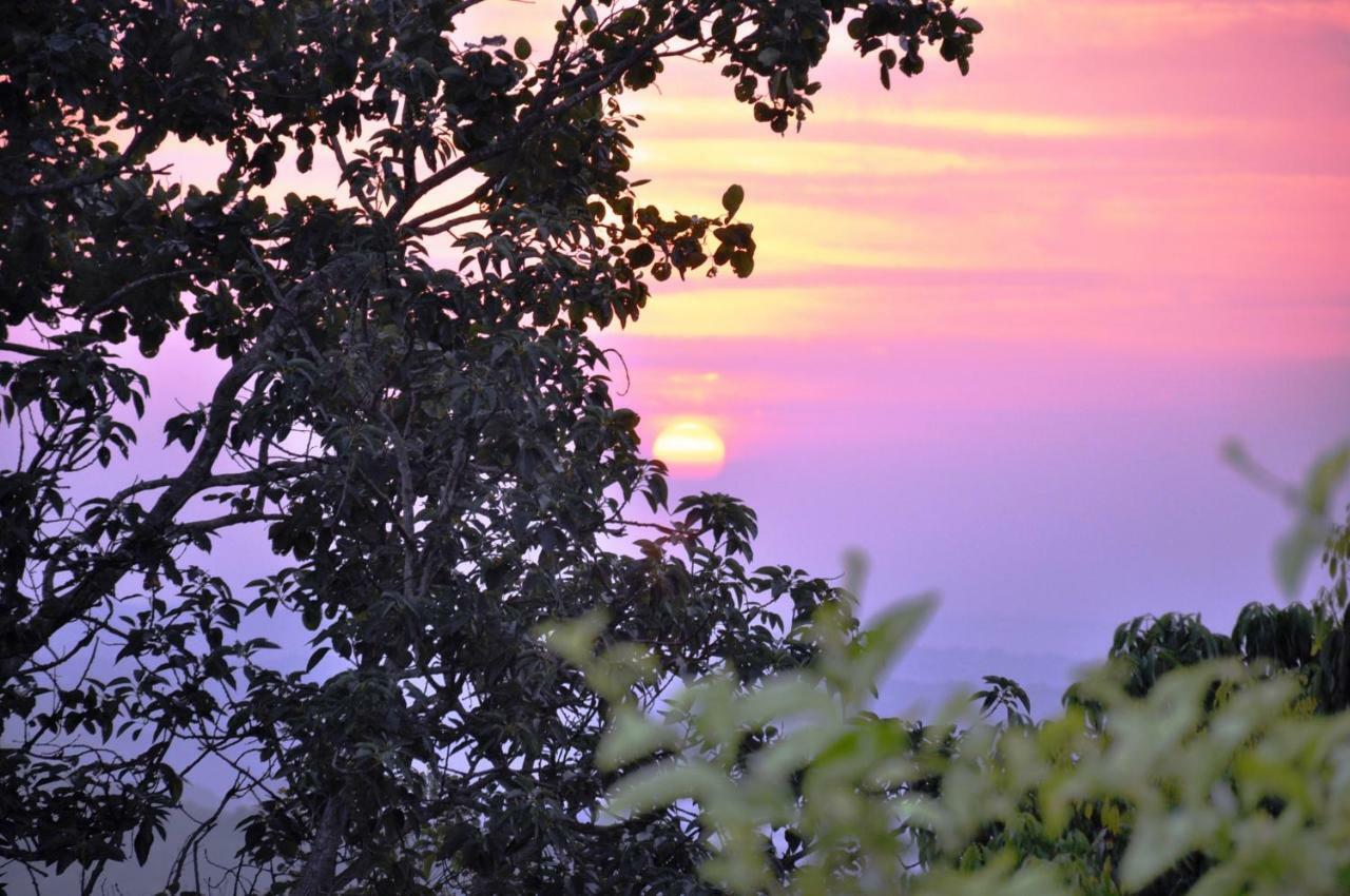 Viewpoint Lodge & Safari Tours Hazyview Dış mekan fotoğraf